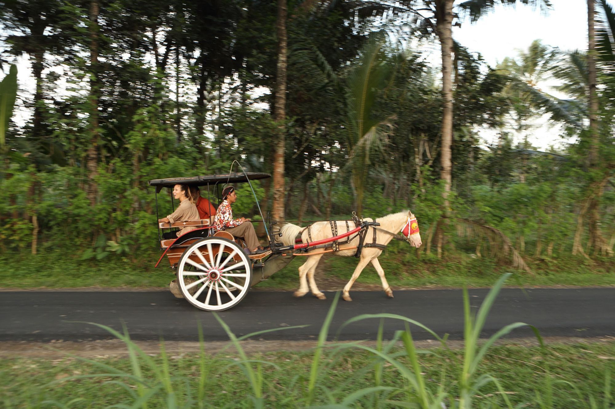 Plataran Heritage Borobudur Hotel Magelang Buitenkant foto